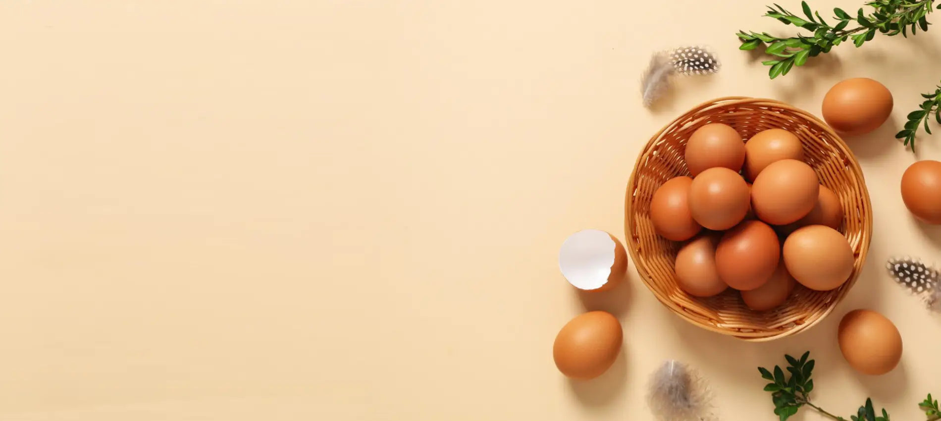 Raised on Open Pastures. <br>Nourished by Nature. <br>Brought Fresh to Your Table.